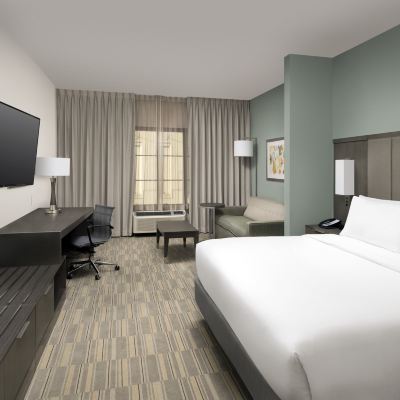 Mobility Communication Accessible Standard King Room with Tub Holiday Inn Express Pensacola Downtown, an IHG Hotel Promo Code