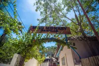 Mad Monkey Panglao Hotels in 