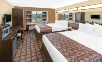 Microtel Inn & Suites by Wyndham Ozark