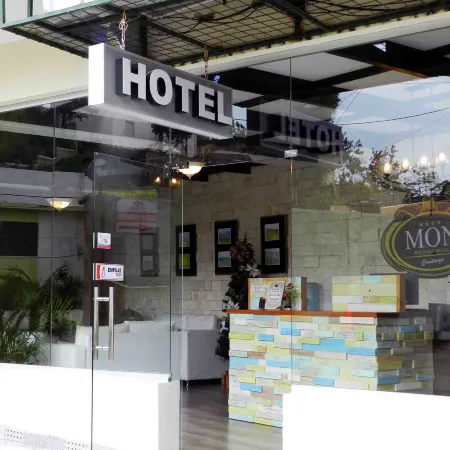 Mon Hotel Boutique Отели в г. Констанца