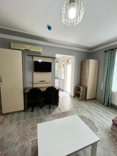 豪华三居室公寓