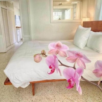 Signature Suite (Palm Grove) Casa Morada Promo Code