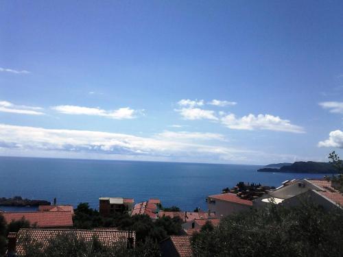 带露台的海景一室公寓