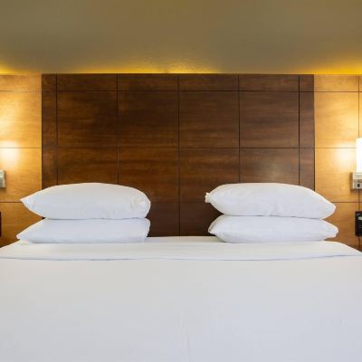 Standard Room 1 King Bed, Roll-in Shower, Whirlpool Tub, 1st Floor Accessible, Non-Smoking Arroyo Pinion Hotel, Ascend Hotel Collection Promo Code