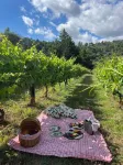 Private Douro- Quinta Das Susandas