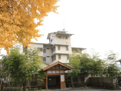 源泉所有の温泉旅館 和みのお宿 滝乃湯 のホテル