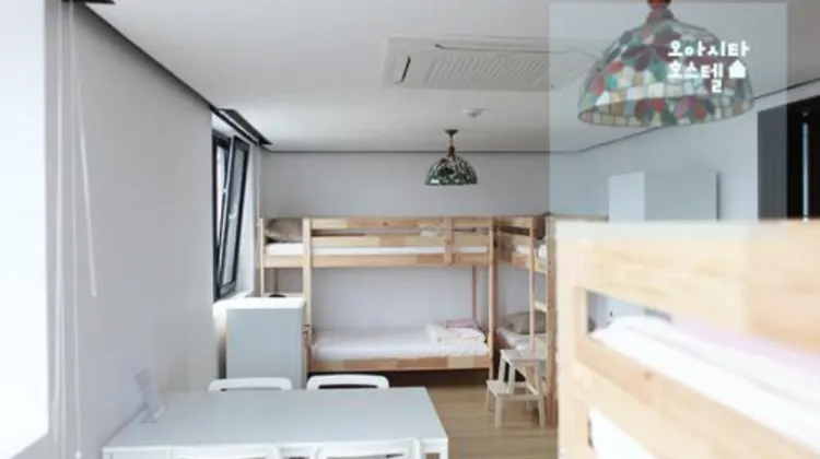 Oasita Hostel 食事・レストラン