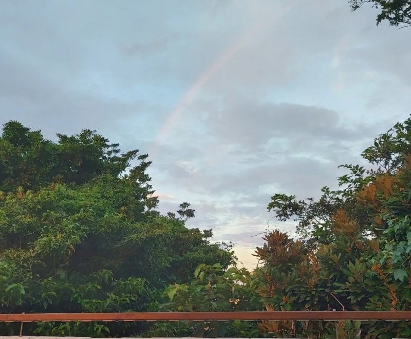Pongdang 99