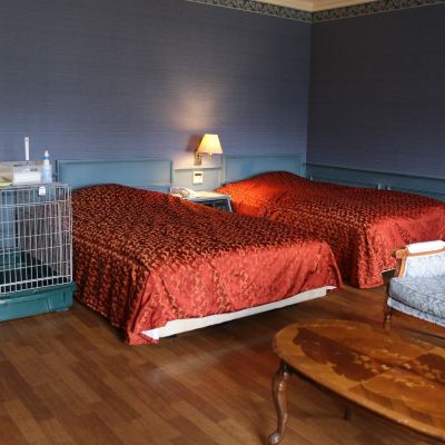 スタンダードルーム ウェルネスの森 那須 クーポン