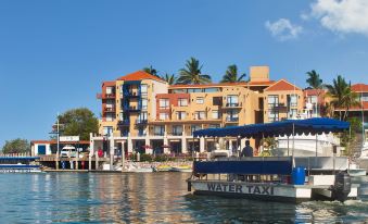 a boat is docked in a harbor next to a row of buildings with palm trees at El Cid Marina Beach Hotel