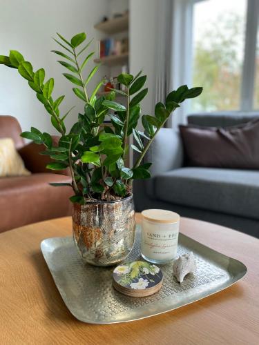 享有花园景致的公寓