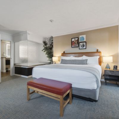 Harbor Springs Suite - King Jacuzzi Cherry Tree Inn and Suites Promo Code