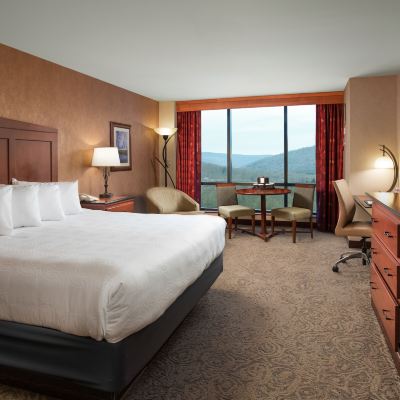 Deluxe King Room-Non-Smoking Seneca Allegany Resort & Casino Promo Code