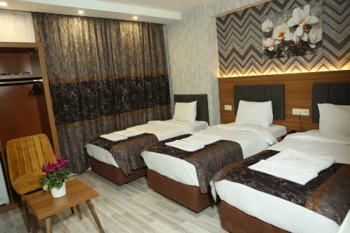 BIANCA Deluxe Hotel Van