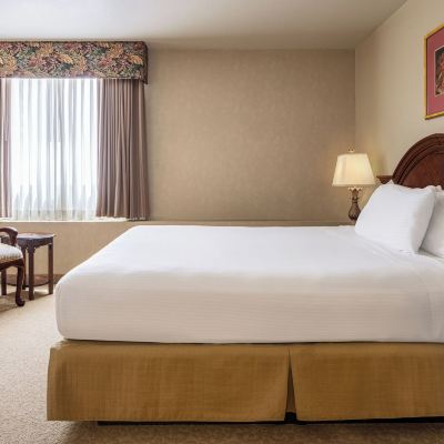 Spa Suite King Non-Smoking Circus Circus Reno Promo Code
