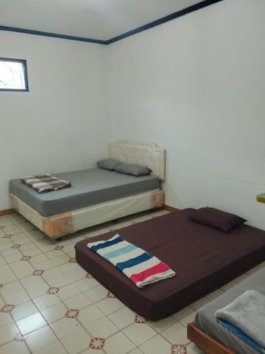 经济双人或双床间