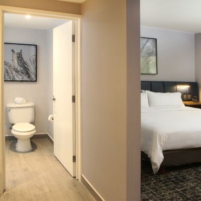 Standard King Room With Mini Fridge COSUITES SALTILLO HOTEL Promo Code