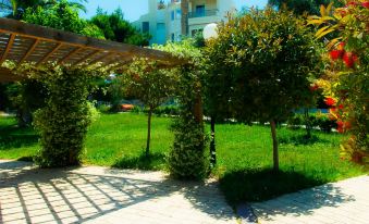 a lush green lawn surrounded by trees , with a wooden pergola in the middle of the yard at Apollonia Hotel Apartments