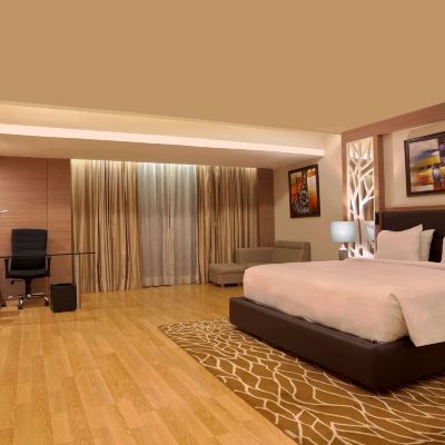Superior Room Radisson Udaipur Promo Code