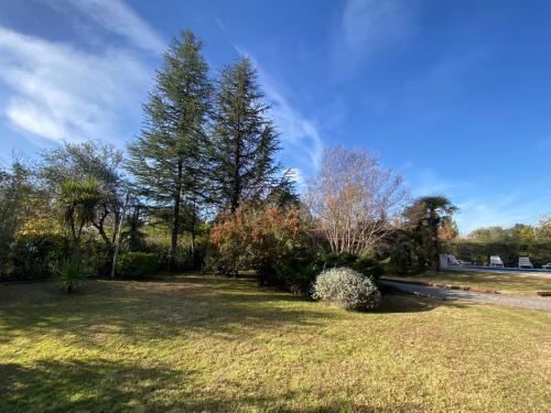 豪华双人或双床房