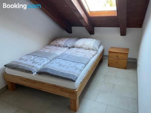 高级两卧室公寓