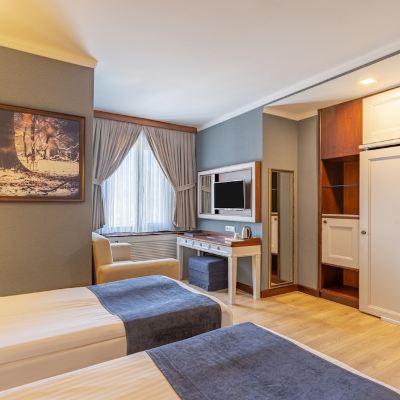 Standard Double or Twin Room