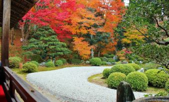Stay Sakura Kyoto Matsuri