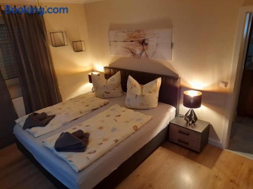 高级两卧室公寓