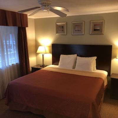King Room - Non-Smoking Global Inn Promo Code