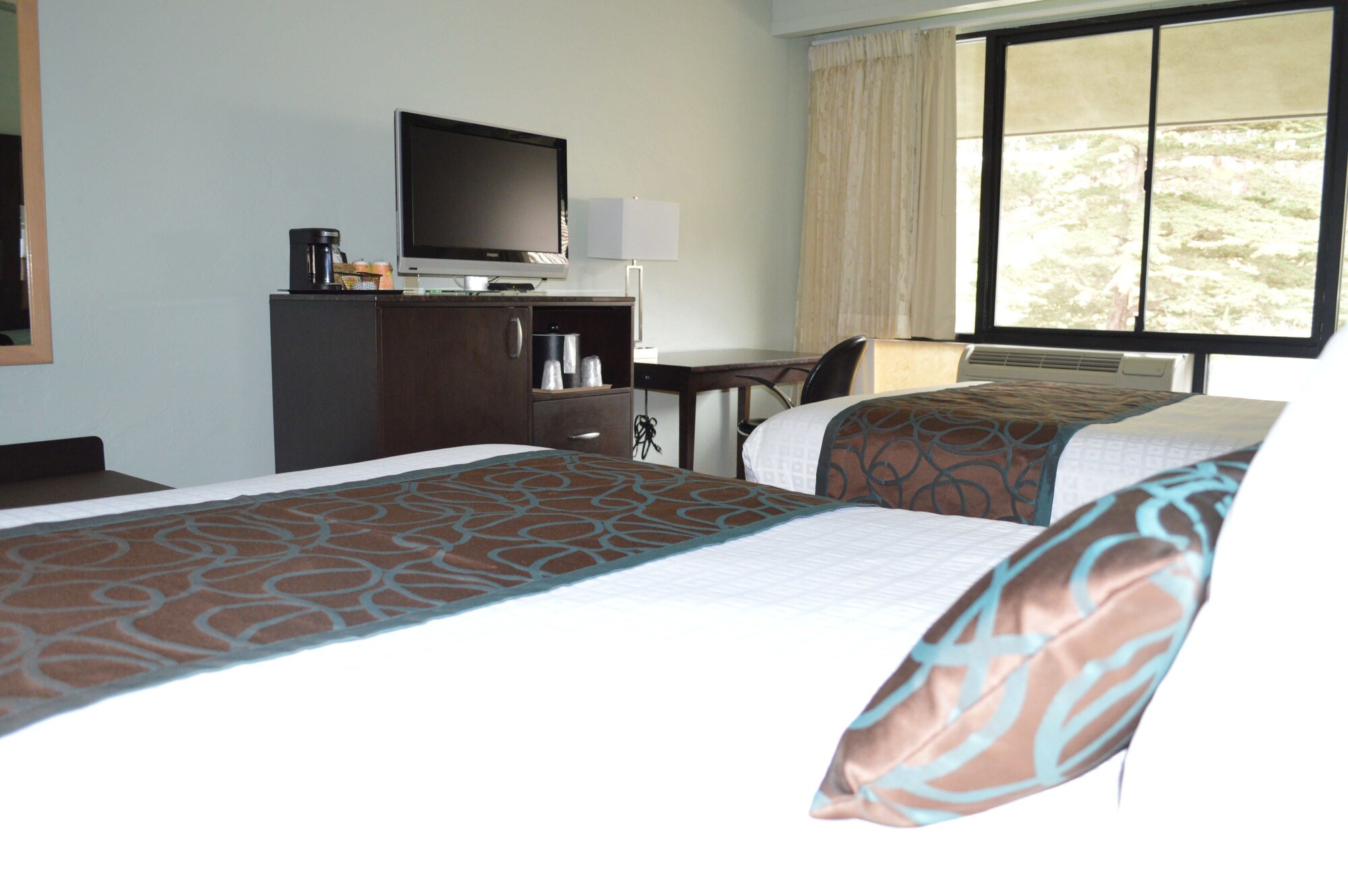 宠物友好间 - 带2张大床