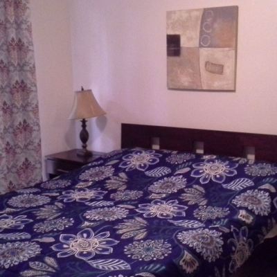 Room, 1 Bedroom, Accessible, Smoking Nice Condo to Vacation in Playas del Coco Promo Code