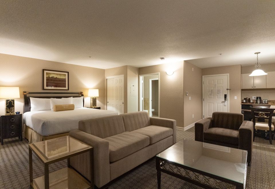 豪华行政特大床套房—非吸烟