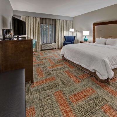 1 King Bed Mobility/Hearing Accessible Room With 3x3 Shower-Non-Smoking Hampton Inn Summerville SC Promo Code