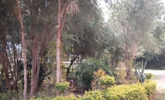 a beautiful garden with tall trees and lush greenery , creating a serene and tranquil atmosphere at Spice Garden
