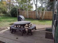 Cozy & Comfortable 1Bd Cabin in Nederland ~ Walk to Downtown