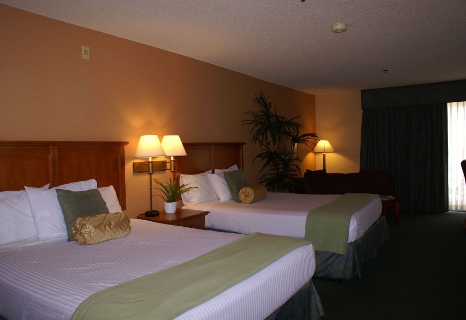 标准房， 多张床， 山景， 底层 （Mountain View Double Mini Suite）