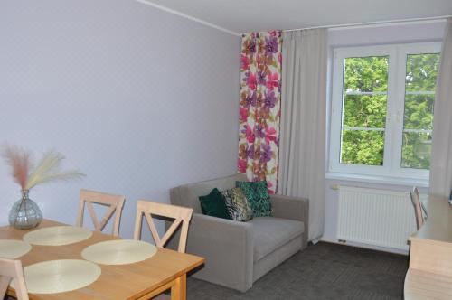 豪华一卧室公寓