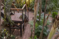 El Refugio de Sayulita - Solo Adultos Hotels in 