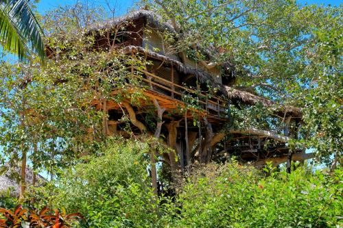 海景树顶房-塔尔宗