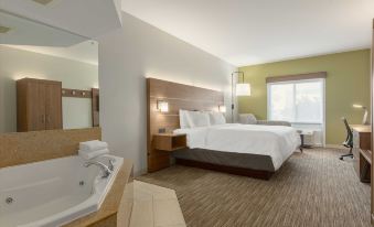 Holiday Inn Express & Suites Binghamton University-Vestal