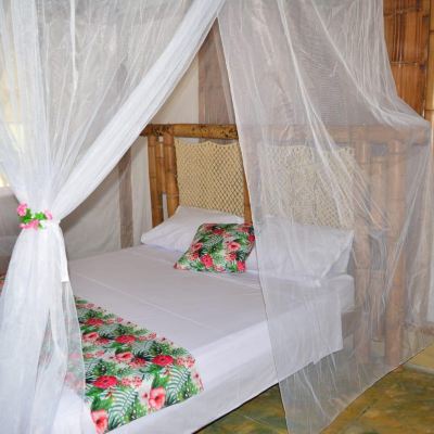 Standard Double Room Hotel Bambu Tayrona Promo Code
