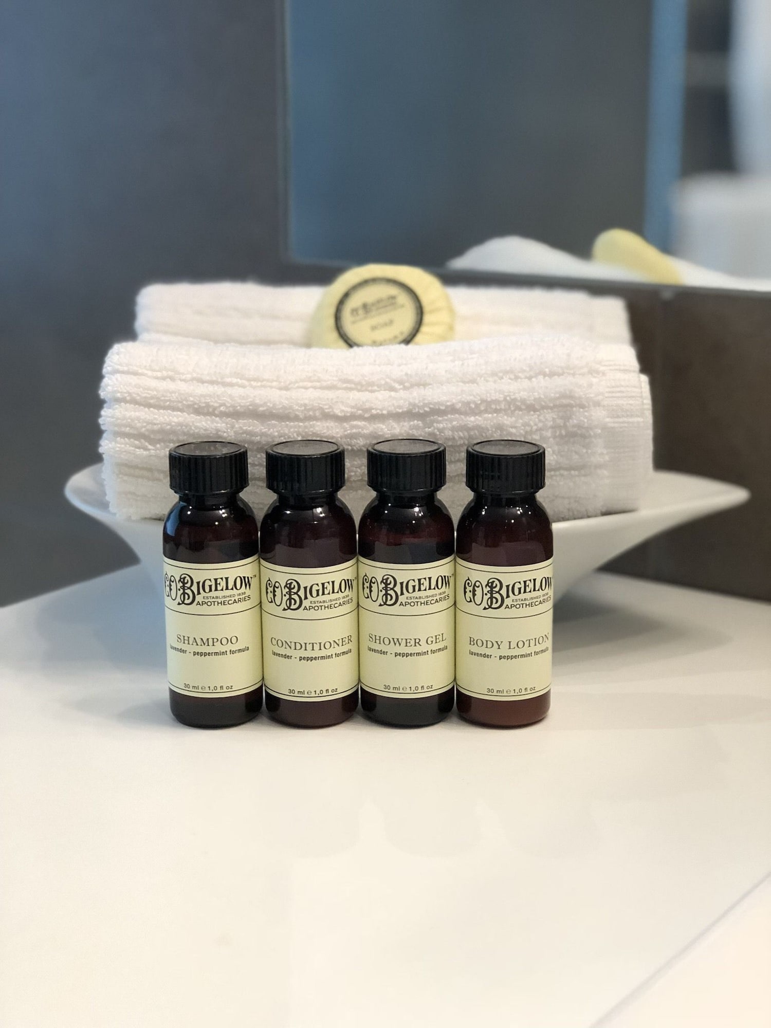 The Crown Hotel一卧室双人或双床间