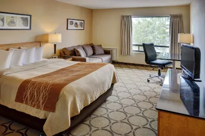 Comfort Inn Hotels in 