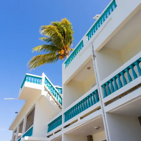 Villa Almarys - Oceanfront - 6 guests - pet friendly - at Stella, Rincón