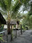 Jungle Oasis Bungalow Hôtels à : 