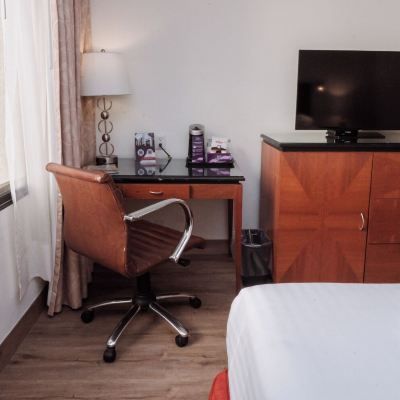 Executive Queen Room HS Hotsson Hotel Tampico Promo Code