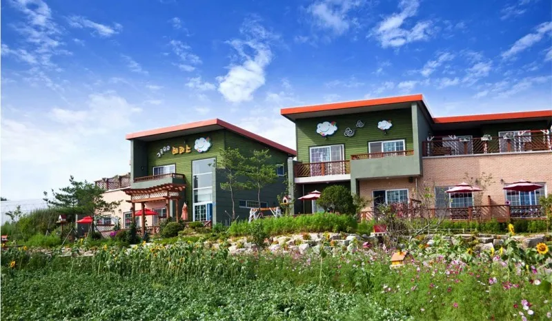 Terrace On The Cloud - Yeongju-si