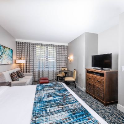 King Room With Sofa Bed