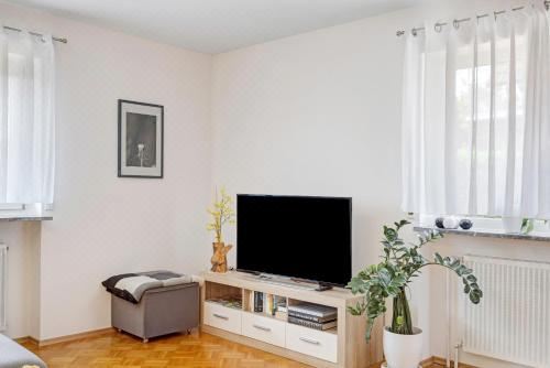 高级两卧室公寓