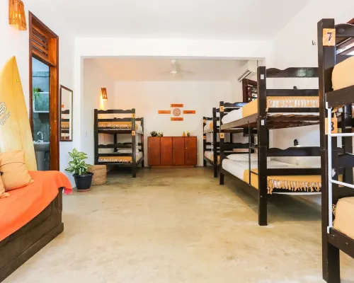 Mandala Hostel โรงแรมในเจริโคโคร่า